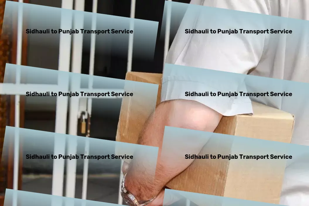 Sidhauli to Punjab Transport Optimize your shipping processes within India with our assistance! - Professional logistics services