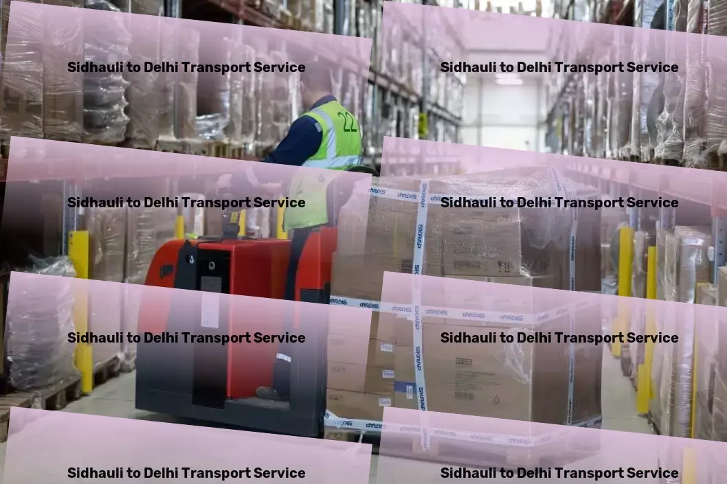 Sidhauli to Delhi Transport Efficient goods dispatch