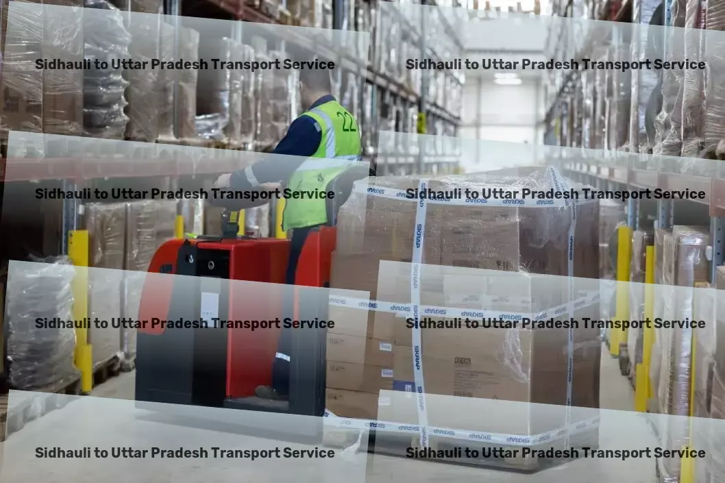 Sidhauli to Uttar Pradesh Transport Professional goods logistics