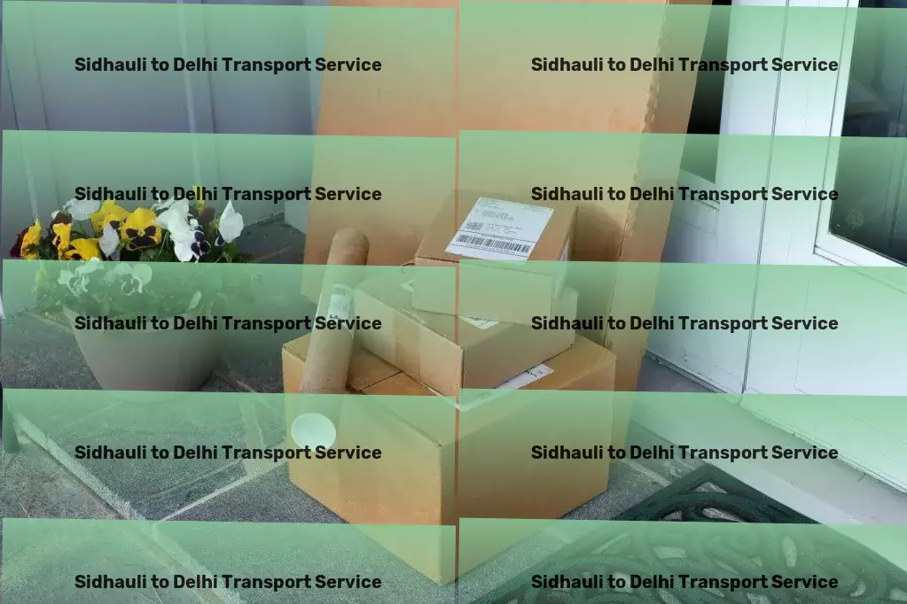 Sidhauli to Delhi Transport Bringing gourmet coffee experiences to your doorstep. - Rapid cargo dispatch