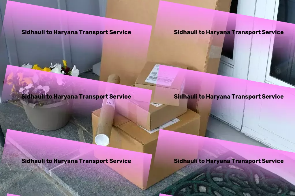 Sidhauli to Haryana Transport Express goods shipment solutions