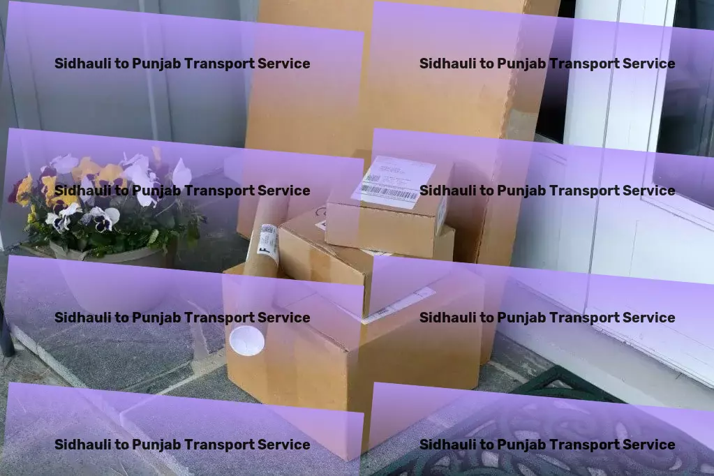 Sidhauli to Punjab Transport Major transport services network