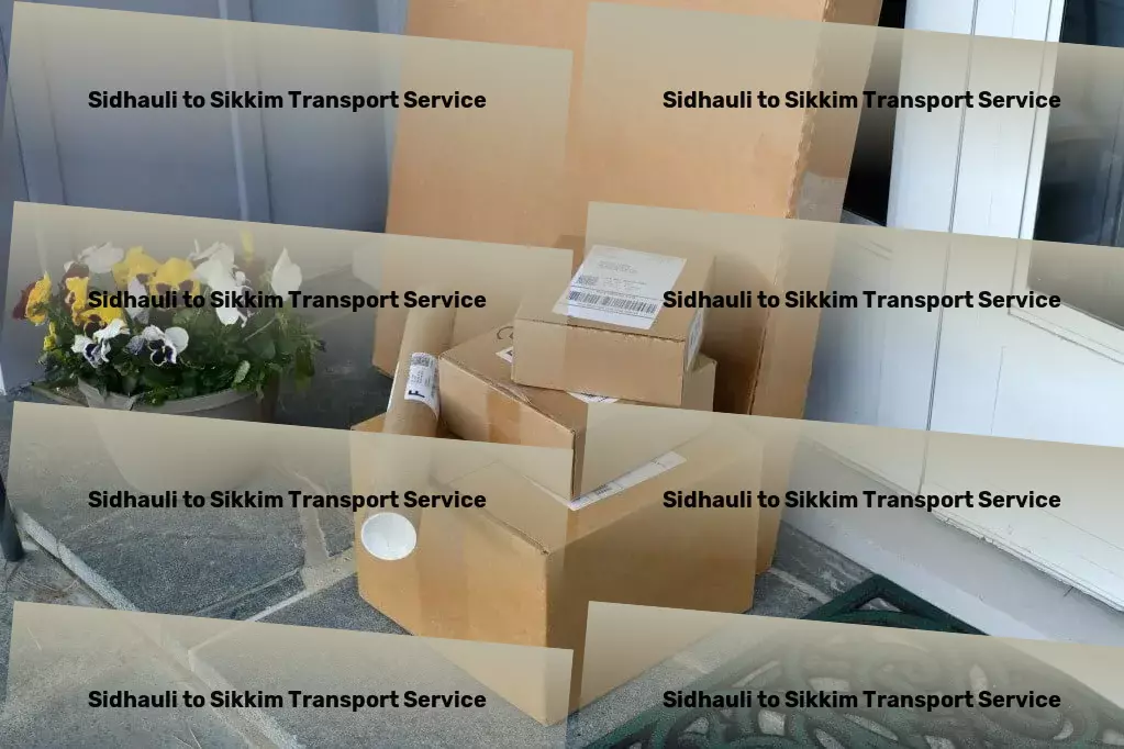 Sidhauli to Sikkim Transport Specialized freight logistics