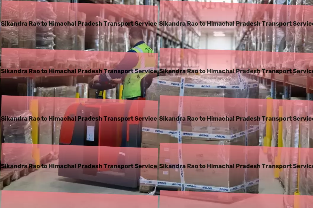 Sikandra Rao to Himachal Pradesh Transport Furniture moving solutions