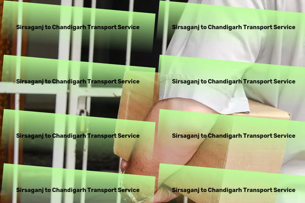 Sirsaganj to Chandigarh Transport Shipping services