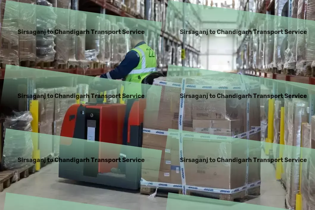 Sirsaganj to Chandigarh Transport Distribution logistics