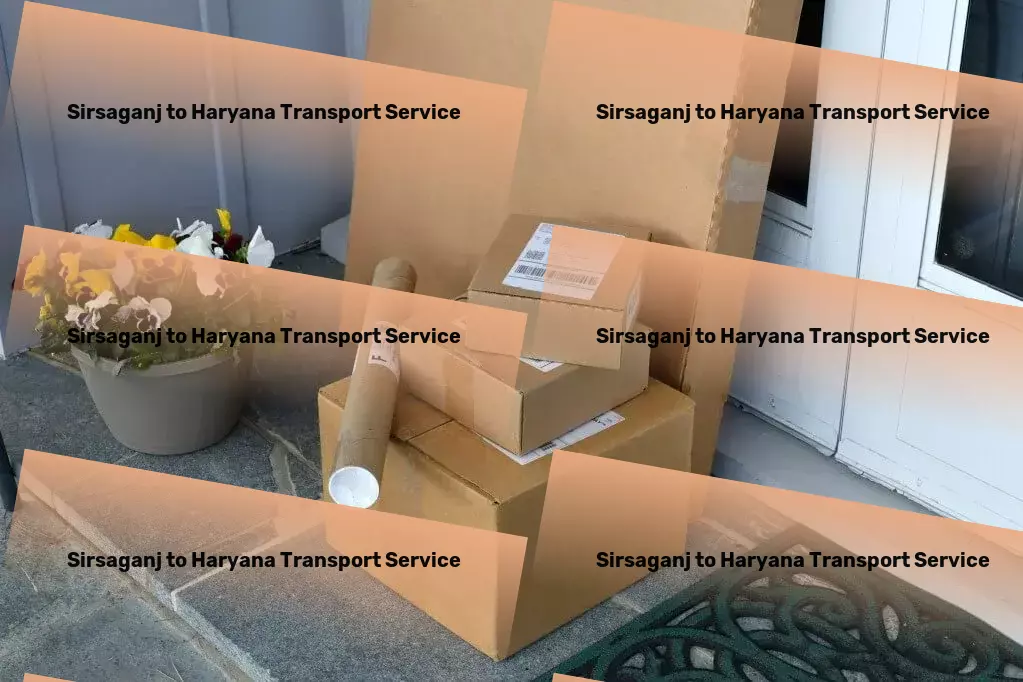 Sirsaganj to Haryana Transport Nationwide goods services