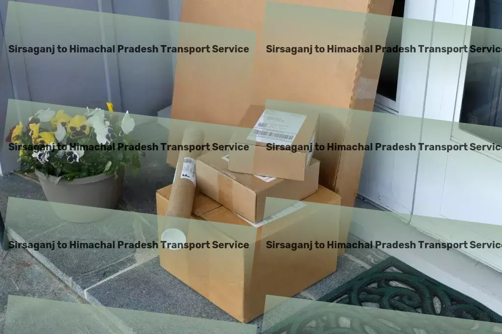 Sirsaganj to Himachal Pradesh Transport Express freight operations