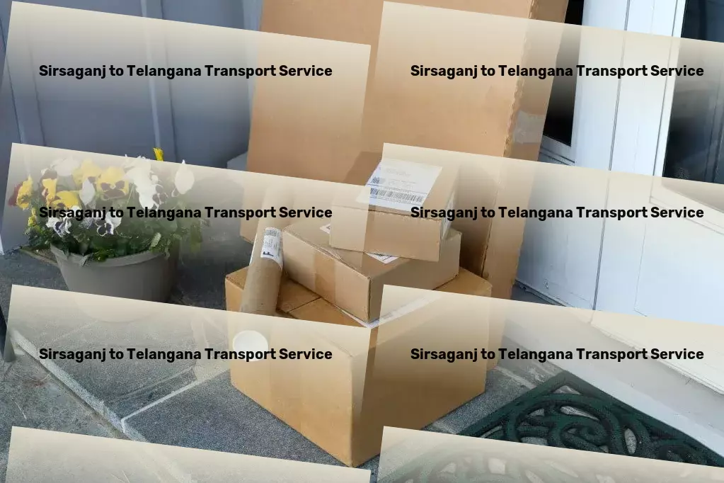 Sirsaganj to Telangana Transport Custom goods services