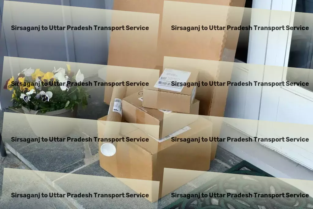 Sirsaganj to Uttar Pradesh Transport Crafting the pathway for smoother shipments across India. - Cargo delivery services