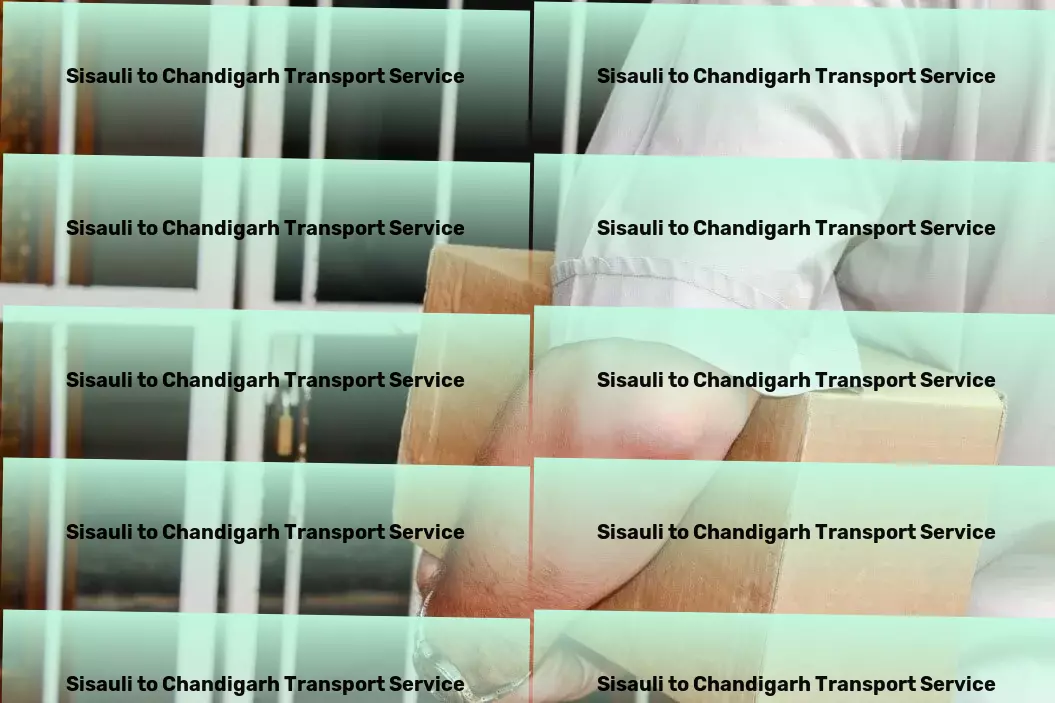 Sisauli to Chandigarh Transport Rapid goods dispatch