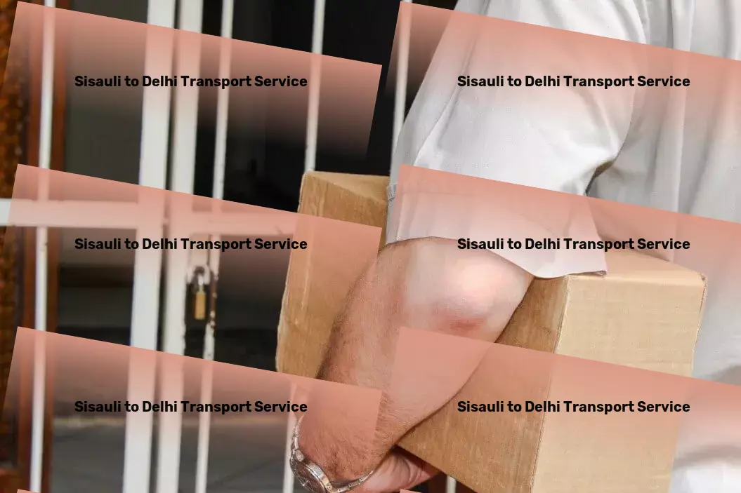 Sisauli to Delhi Transport Your hassle-free pathway through complex shipments! - Nationwide delivery and logistics