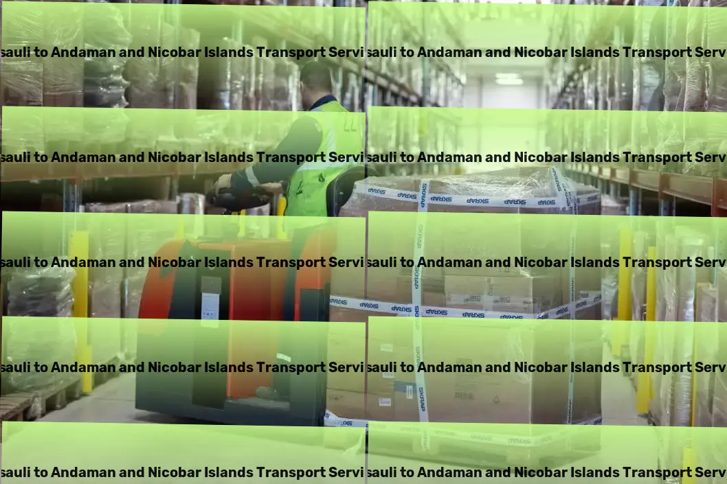 Sisauli to Andaman And Nicobar Islands Transport Professional cargo logistics