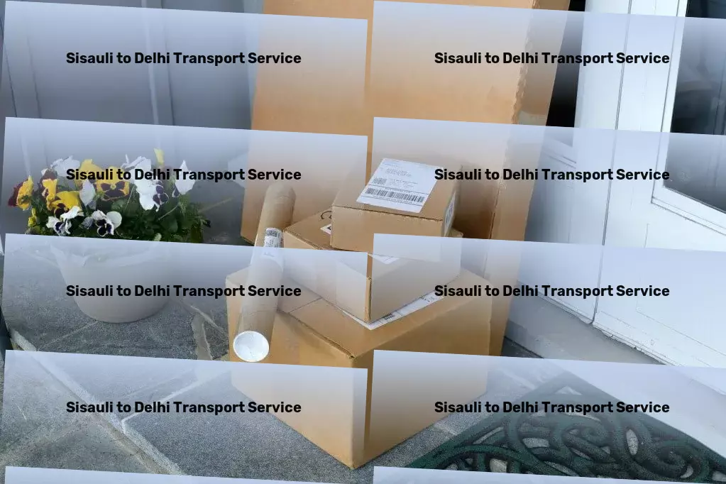 Sisauli to Delhi Transport Nationwide freight services