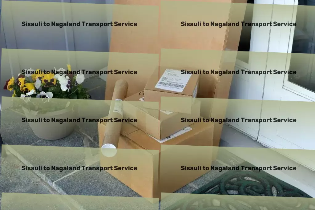 Sisauli to Nagaland Transport Achieve logistic efficiency across India with our expert solutions! - Express moving solutions