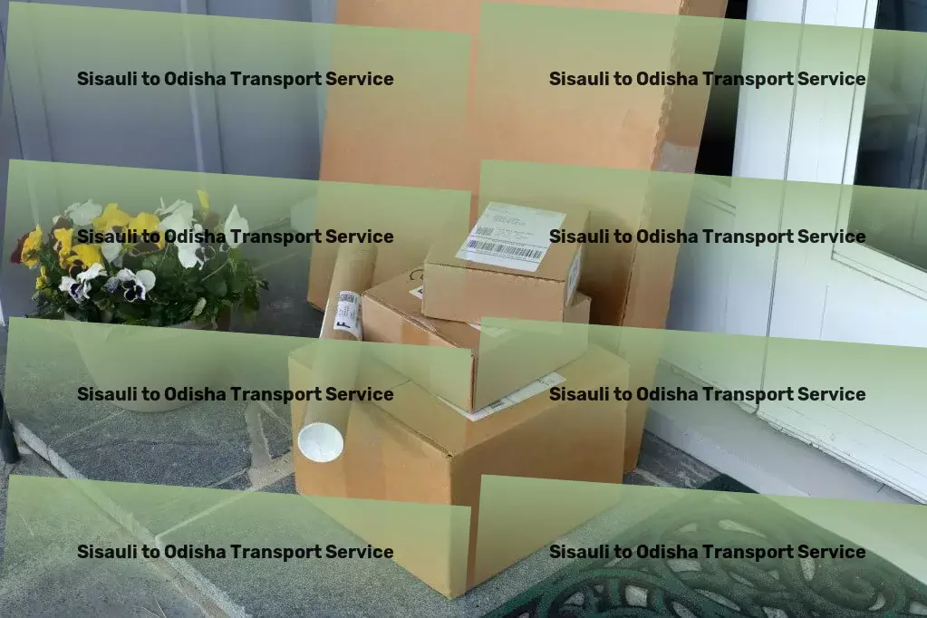 Sisauli to Odisha Transport Customized moving solutions