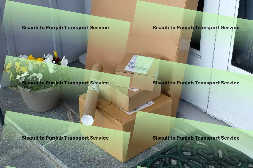 Sisauli to Punjab Transport Professional goods shipment services