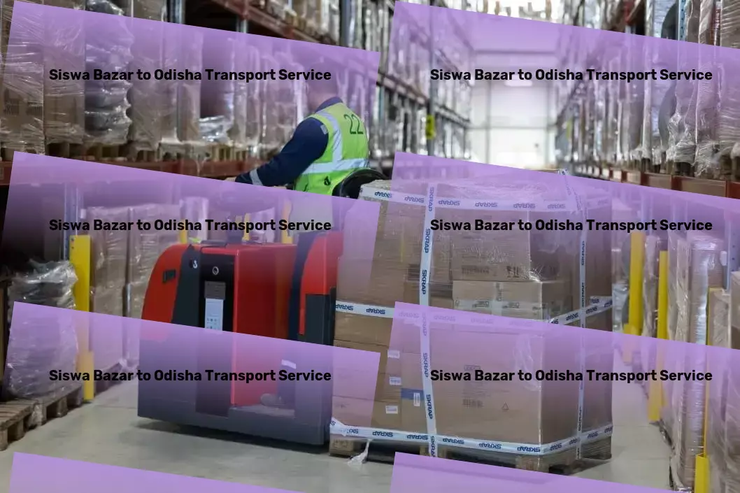 Siswa Bazar to Odisha Transport Specialized package shipment