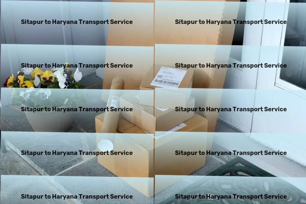 Sitapur to Haryana Transport Full-load goods shipment