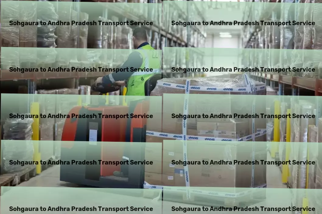 Sohgaura to Andhra Pradesh Transport Heavy-duty transport solutions