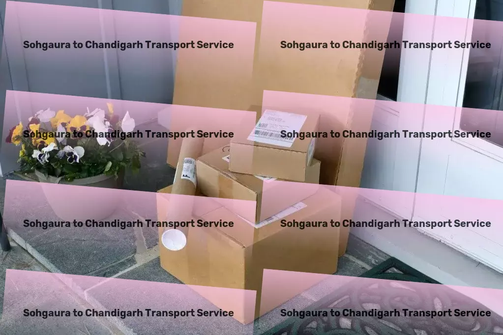 Sohgaura to Chandigarh Transport Essential cargo services