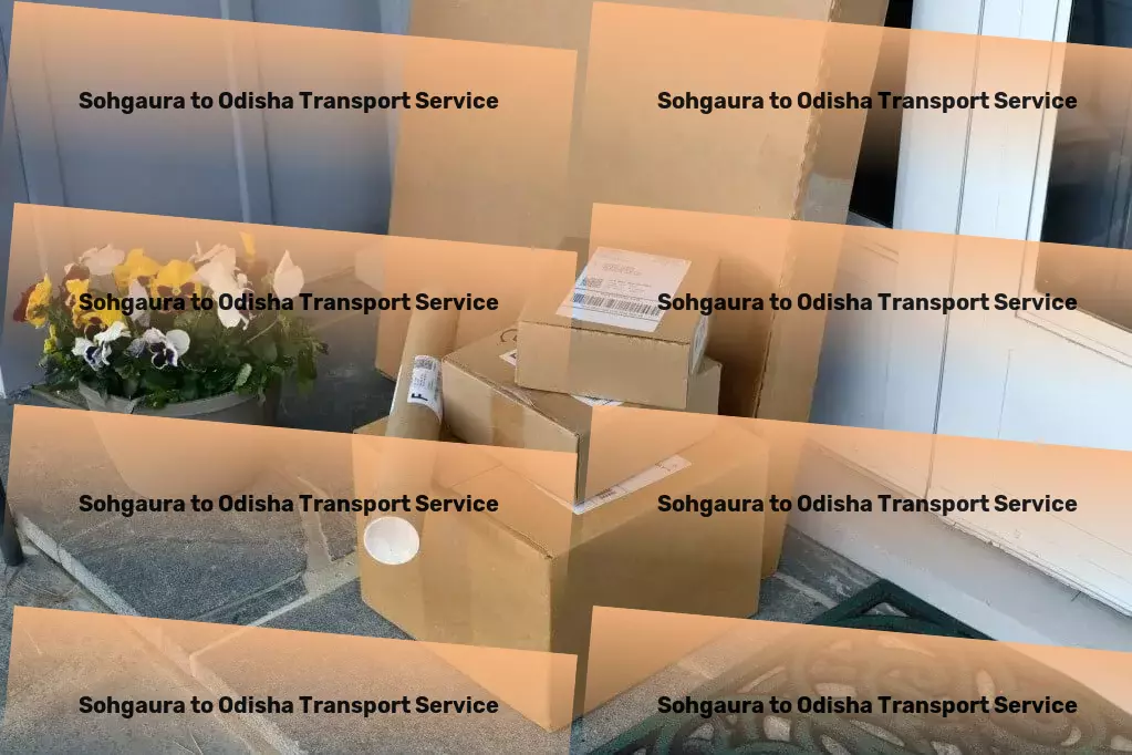 Sohgaura to Odisha Transport Specialized goods transport solutions