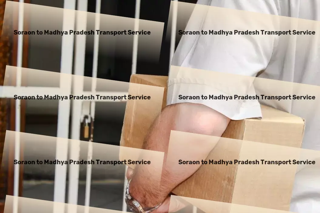 Soraon to Madhya Pradesh Transport Empowering your health journey with science-backed advice. - Commercial package delivery