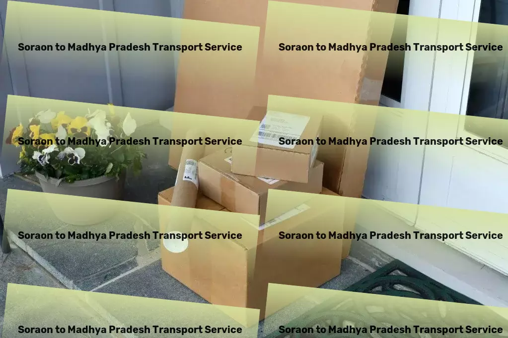 Soraon to Madhya Pradesh Transport Cargo insurance services