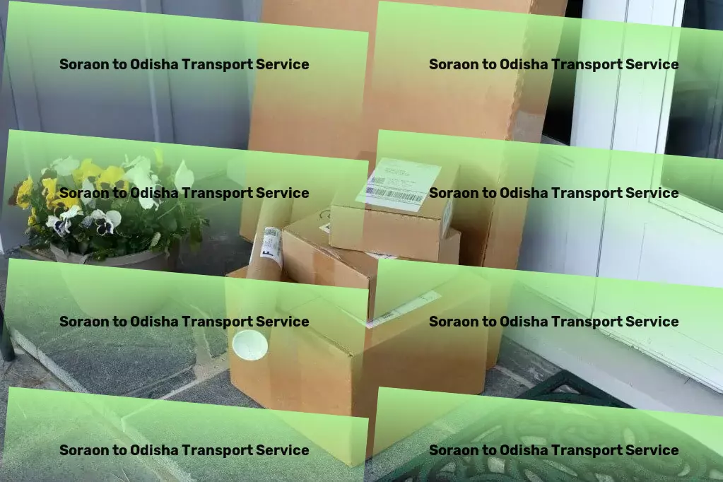 Soraon to Odisha Transport Express cargo forwarding