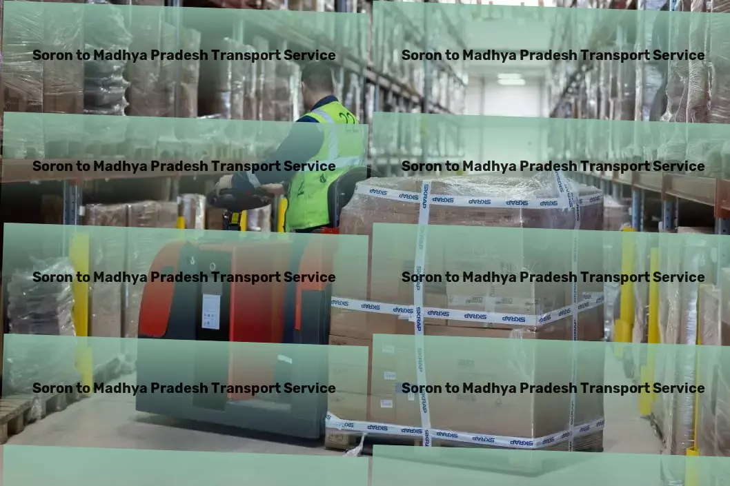 Soron to Madhya Pradesh Transport Professional moving logistics