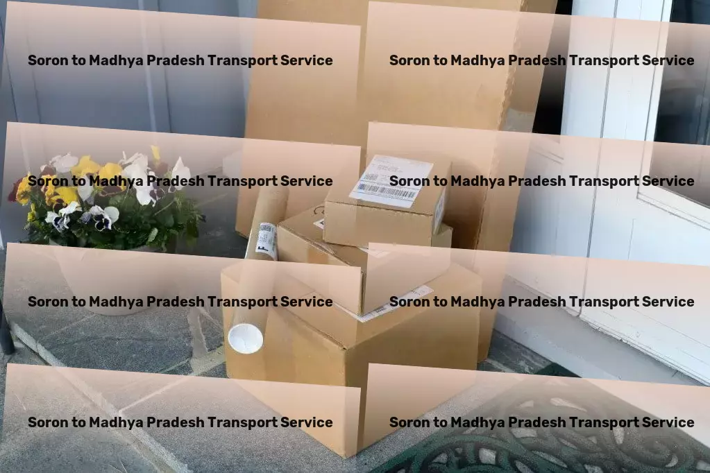 Soron to Madhya Pradesh Transport Flawless transportation services tailored for India's dynamics! - Nationwide moving solutions