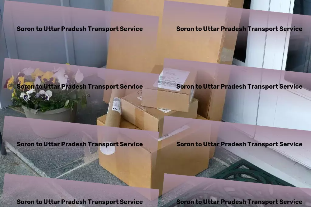 Soron to Uttar Pradesh Transport Local freight logistics