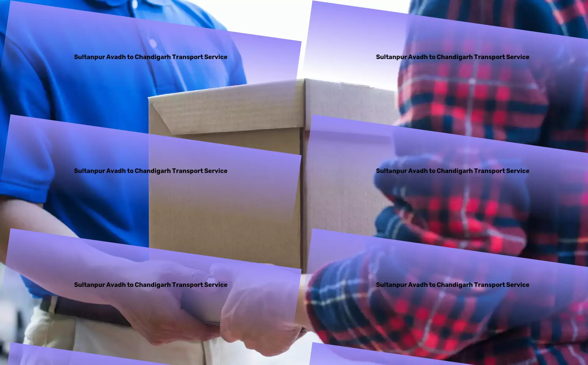 Sultanpur Avadh to Chandigarh Transport Elevating your DIY projects to the next level! - Cargo forwarding services